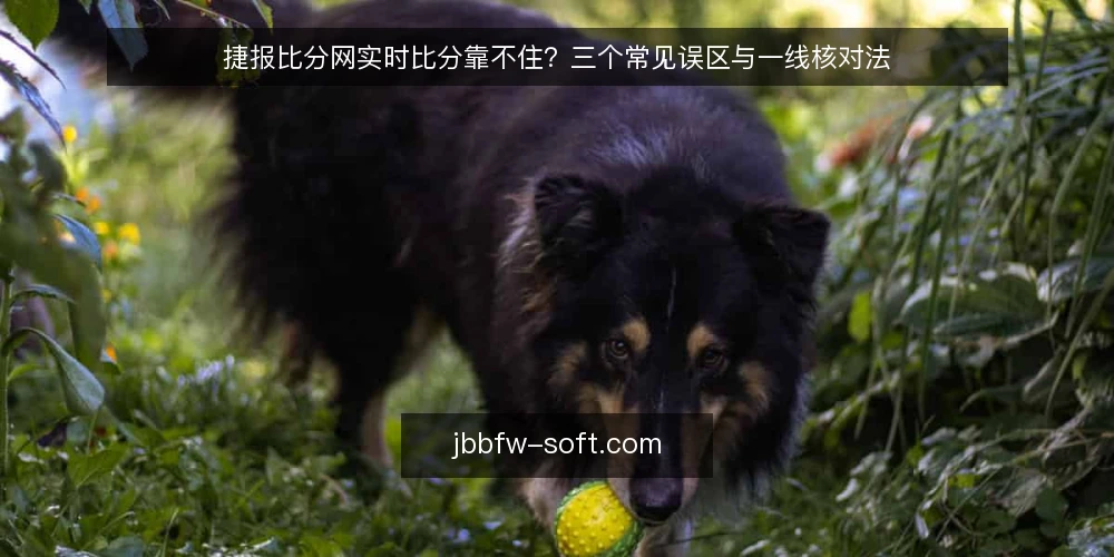 捷报比分网实时比分靠不住?三个常见误区与一线核对法 — 误区一:实时比分一定秒级刷新 配图